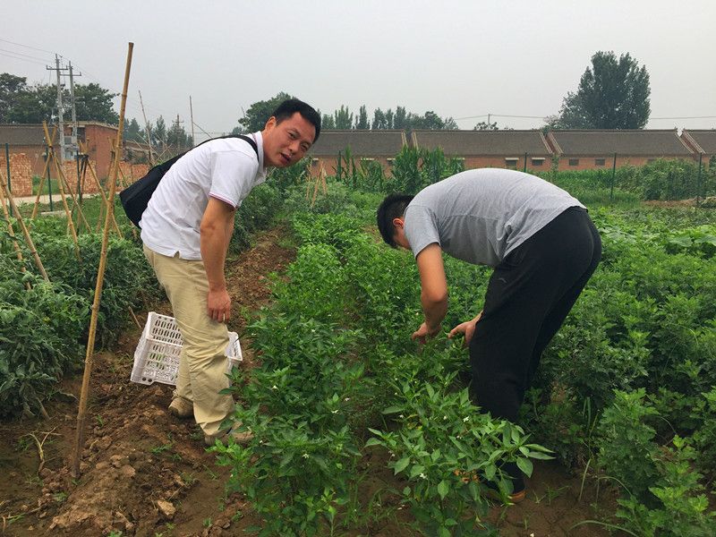 好利來(lái)郭總喊您來(lái)摘菜啦！綠色無(wú)公害，放心！
